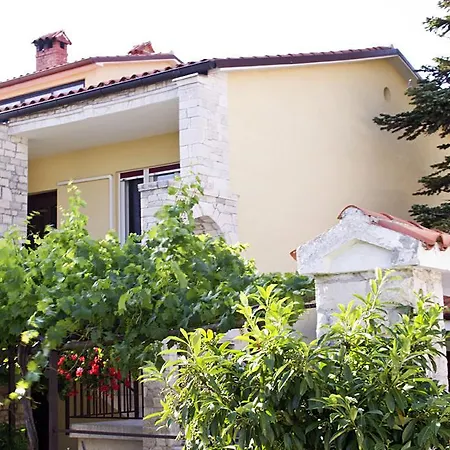 Ariana Guest house
