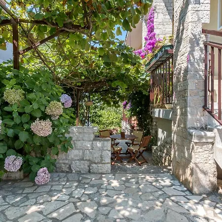 Ariana Πανσιόν Πούλα